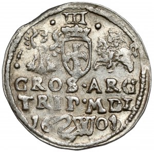 Zygmunt III Waza, Trojak Wilno 1601 - Łabędź i litera W - b. rzadki