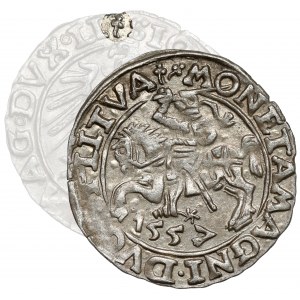 Sigismund II Augustus, Vilnius 1557 half-penny - 2x clover - rare