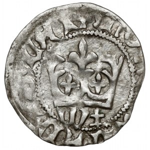 Ladislaus II Jagiello, Cracow half-penny - type 19 - W‡ marks.