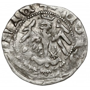 Ladislaus II Jagiello, Cracow half-penny - type 19 - W‡ marks.