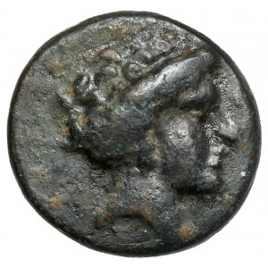 Greece, Thessaly, Larissa, AE14