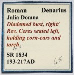 Julia Domna (193-217 n. l.) Denár, Řím