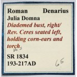 Julia Domna (193-217 n. l.) Denár, Rím