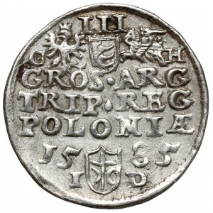 Stefan Batory, Trojak Olkusz 1585 GH - Hose - kamienie