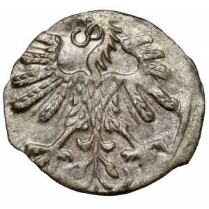 Sigismund II Augustus, Vilnius Denarius 1559