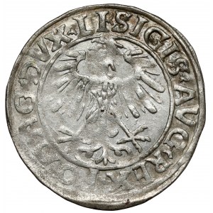 Sigismund II Augustus, Half-grosz Vilnius 1556