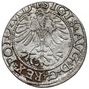 Zikmund II August, půlgroš Vilnius 1565