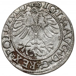 Sigismund II Augustus, Half-penny Vilnius 1565