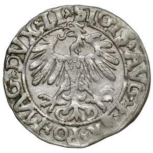 Sigismund II. Augustus, halber Pfennig Vilnius 1558