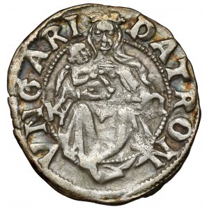 Ungarn, Ladislaus II. von Ungarn (1490-1516) Denar