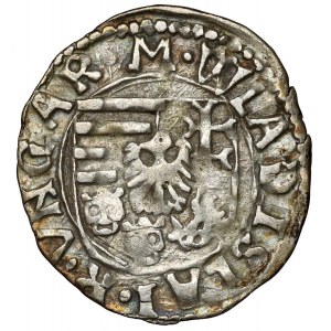 Węgry, Władysław II Węgierski (1490-1516) Denar