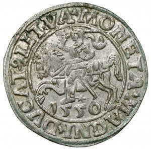 Sigismund II Augustus, Half-penny Vilnius 1550