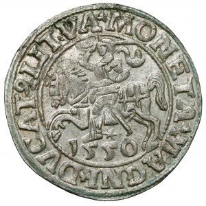Sigismund II. Augustus, halber Pfennig Vilnius 1550