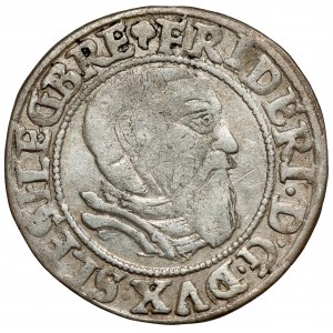 Slezsko, Fridrich II., Penny 1543, Legnica