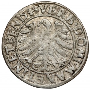 Silesia, Frederick II, Penny 1543, Legnica