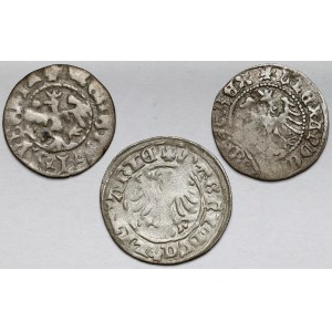 John Olbracht and Alexander Jagiellonian, Half-penny, set (3pcs)