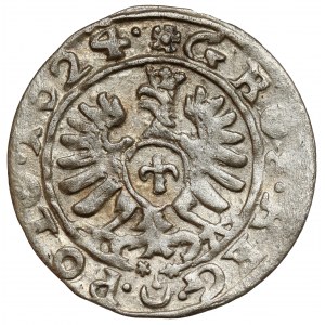 Sigismund III Vasa, Bydgoszcz penny 1624