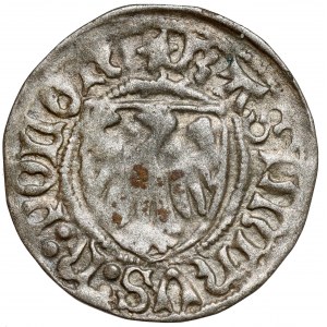 Casimir IV Jagiellonian, the Elblag Shelagh