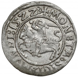 Sigismund I. der Alte, Halber Pfennig Vilnius 1522