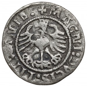 Sigismund I. der Alte, Halber Pfennig Vilnius 1523