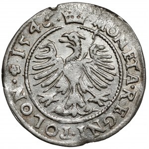 Sigismund I the Old, The Cracow Penny 1546 ST