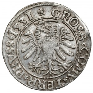 Sigismund I. der Alte, Grosz Toruń 1531