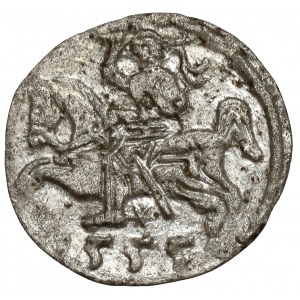Sigismund II Augustus, Vilnius Denarius 1555