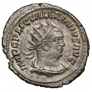 Walerian (253-260 n.e.) Antoninian, Antiochia