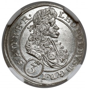 Slezsko, Leopold I, 3 krajcara 1695 MMW, Wrocław