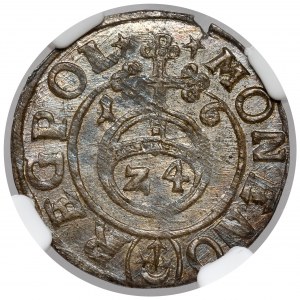 Žigmund III Vaza, poltopánka Bydgoszcz 1616 - Saská v ovále