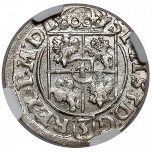 Sigismund III. Vasa, Halbspur Bydgoszcz 1619 - schön
