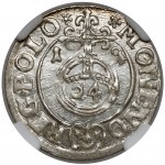 Žigmund III Vasa, poltopánka Bydgoszcz 1619 - krásna
