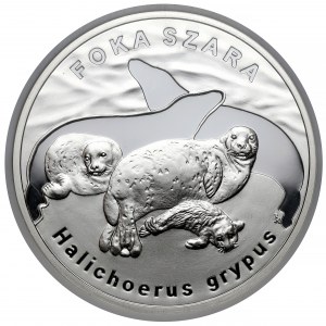 20 złotych 2007 Foka Szara