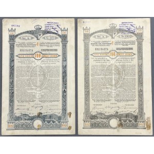 Lvov, oheň. Království haličské a lodomerské..., dluhopis za 100 kr 1893 - barevné varianty