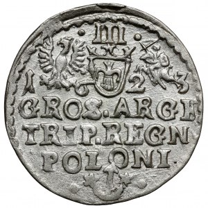 Zikmund III Vasa, Trojak Krakov 1623