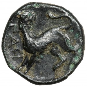 Grécko, Lesbos, Nesos/Nasos Pordosilene, AE9 (3.-2. storočie pred n. l.).