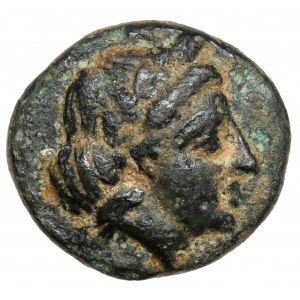 Greece, Troas, Gargara (~IV century BC) AE8