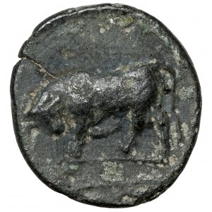 Grecja, Myzja, Gambrion, AE10 (po 350 p.n.e.)