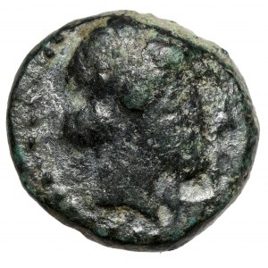 Grecja, Seleukidzi, Antioch III (202-187 p.n.e.) AE11, Sardes