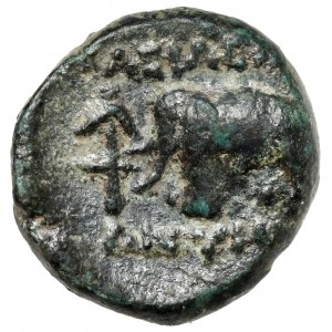 Řecko, Seleukidové, Antiochus III (202-187 př. n. l.) AE11, Sardy