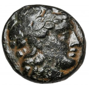 Grecja, Dynastia Seleucydów, AE16