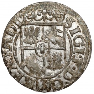 Žigmund III Vasa, poltopánka Bydgoszcz 1621 - SIGI