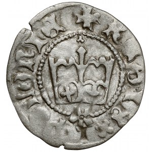 Casimir IV Jagiellonian, Half-penny Cracow