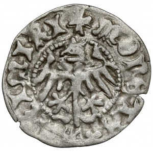 Casimir IV Jagiellonian, Half-penny Cracow