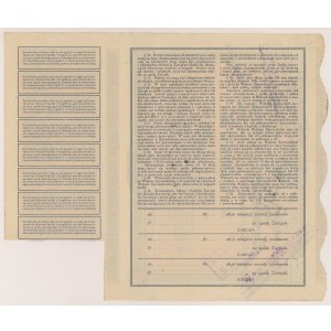 Polnisch-amerikanische Industrie- und Handelskammer UNION LIBERTY COMPANY in Polen, 2x 500 mkp 1920