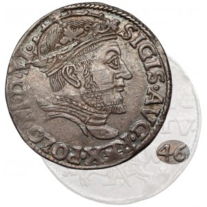Zygmunt II August, Trojak Wilno 1546 - PIERWSZY - rzadkość