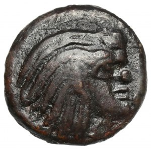Greece, Thrace / Chersonesus, Pantikapaion, AE15 (310-304/3 BC)
