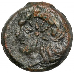 Řecko, Thrákie / Chersonés, Pantikapajon, AE20 (310-303 př. n. l.) - kontramarka