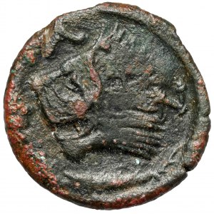 Griechenland, Thrakien / Chersones, Pantikapajon, AE20 (310-303 v. Chr.) - Gegenstempel