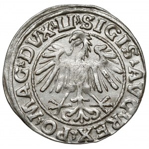 Zikmund II August, půlpenny Vilnius 1547